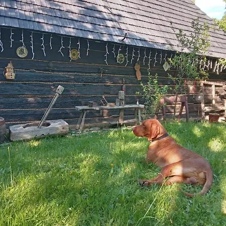 Bed & Breakfast пансіонат урочище Vadvolgy Panzio *