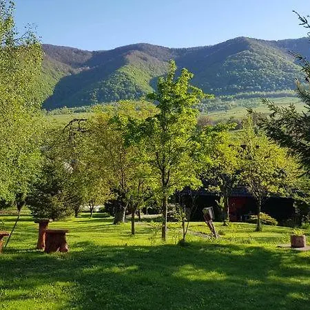 Bed & Breakfast пансіонат урочище Vadvolgy Panzio Vysjka